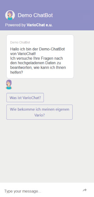 Example on how the Chatbot could look