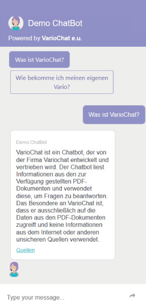 Example on how the Chatbot could look